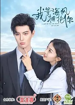 我等海风拥抱你 海报