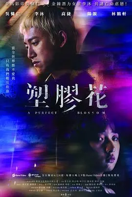 《塑胶花》：这国产剧是来搞笑的吗？看完直接栓Q，但又忍不住想二刷！
