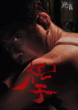 光合计划 海报