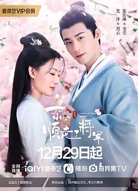 一不小心顺走了将军 海报