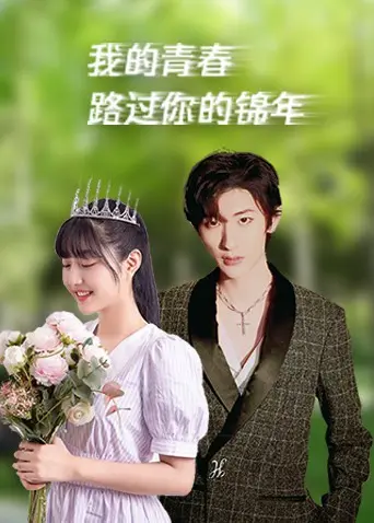 我的青春路过你的锦年 海报