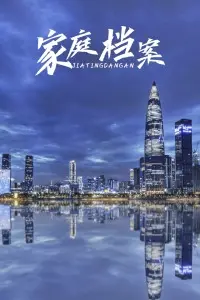 家庭档案 海报