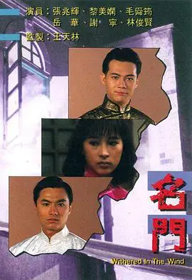 《名门》：不是你想的那种豪门恩怨，而是《烈焰国度》般的权谋“烧脑神剧”！