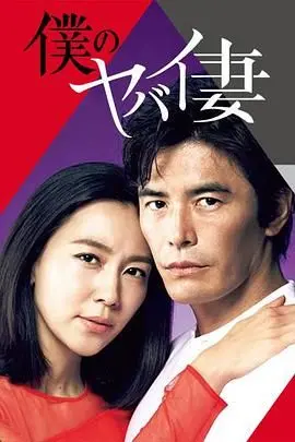 我的危险妻子 海报