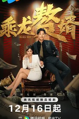 乘龙赘婿 海报